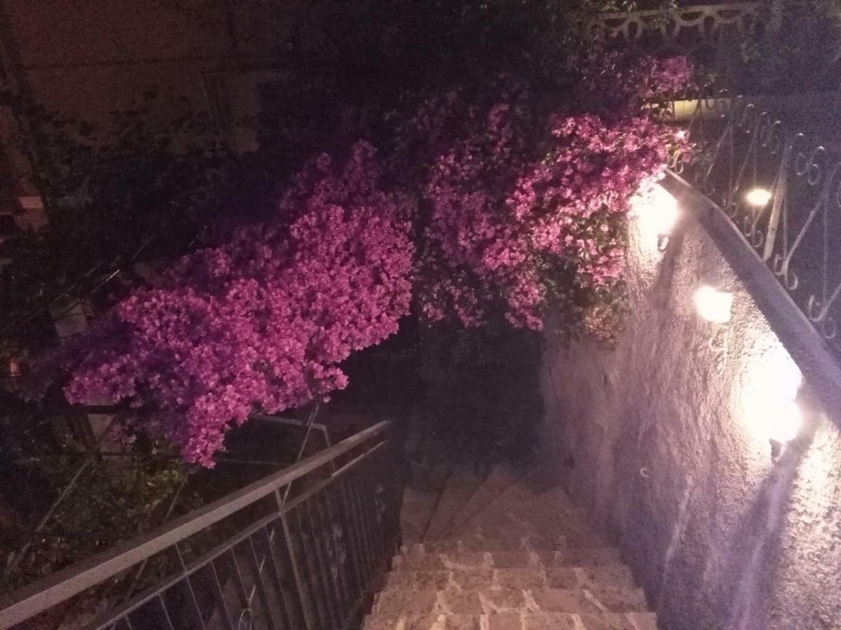 Casa Bouganville Λα Σπέτσια Εξωτερικό φωτογραφία